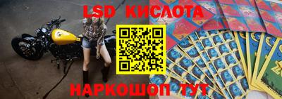 PSILOCYBIN Пугачёв