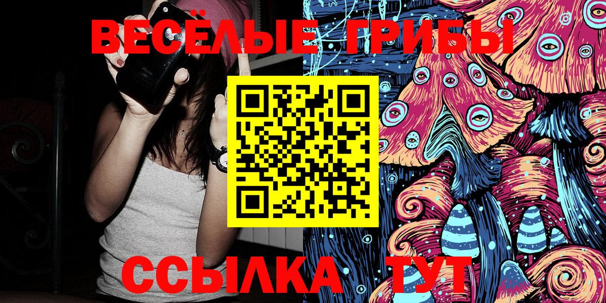 Псилоцибиновые грибы Cubensis  Вход с VPN  Галлюциногенные грибы Psilocybe  Отрадное 